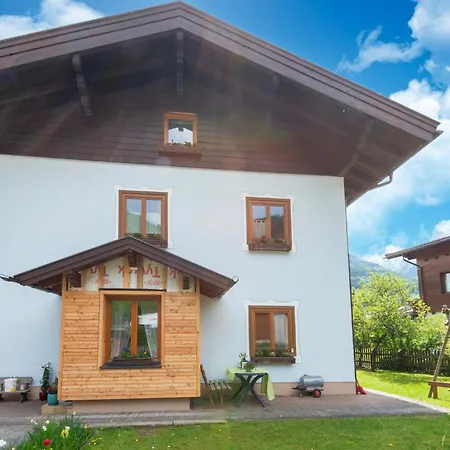 In Near Slopes Apartamento Piesendorf