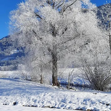 Appartamento In Near Slopes